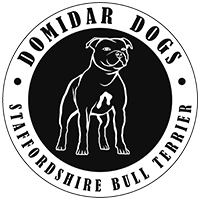 CHS Domidar Dogs